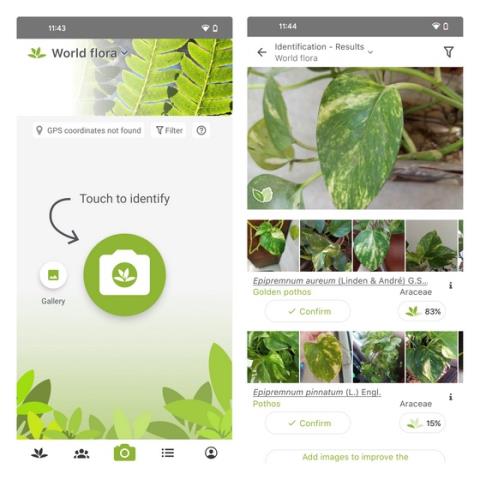 Android ve iPhone için En İyi 10 Bitki Tanımlayıcı Uygulaması (Ücretsiz ve Ücretli)