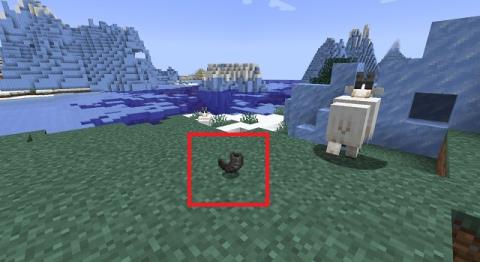 Comment obtenir une corne de chèvre dans Minecraft
